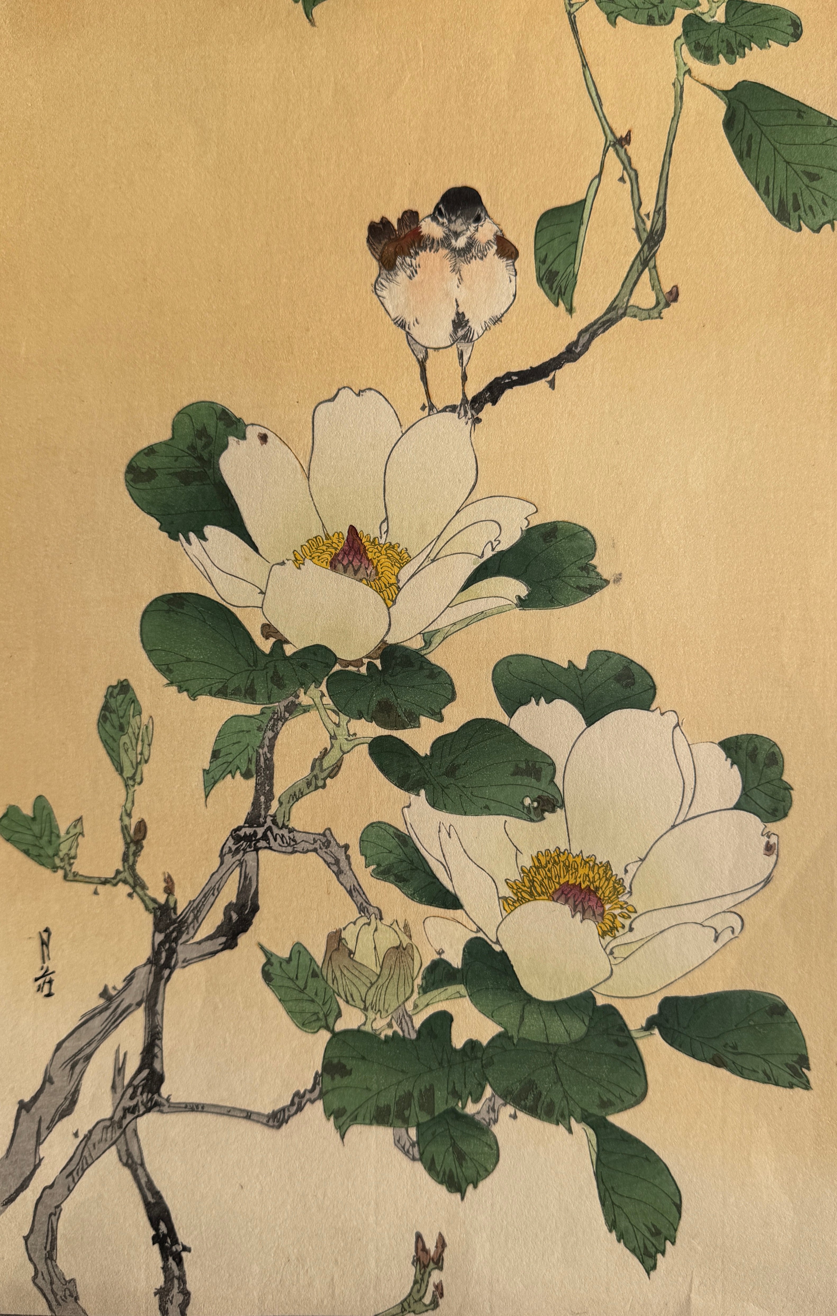 扁額　日本画　【　秀　園　筆　】　蓮の花図　木枠扁額仕立　47cmx123cm 扁額 日本画 【 秀 園 筆 】 蓮の花図 木枠扁額仕立 47cmx123cm