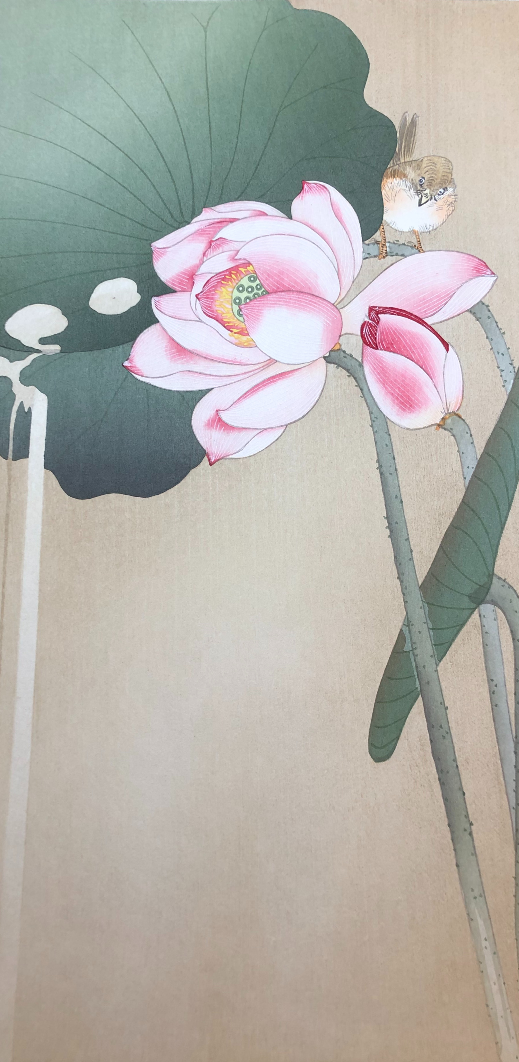 小原古邨木版画復刻版 木製フレーム付き 真作保証】小原古邨 蓮に雀 復刻版新版画 Ohara Koson Shinhanga