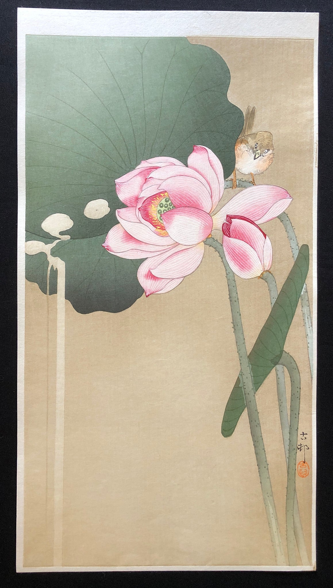 【真作保証】小原古邨 蓮に雀 復刻版新版画 Ohara Koson Shinhanga Reproduction Japan Japanese ...