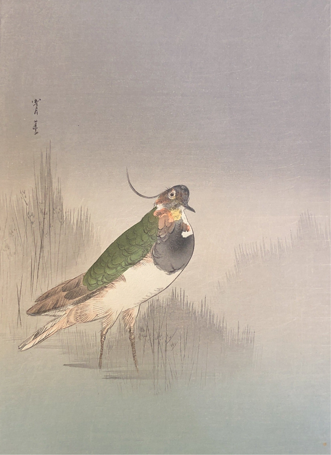 【真作保証】渡辺省亭　木版画