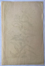 画像をギャラリービューアに読み込む, 【真作保証】杉浦非水　非水百花譜  大待宵草
