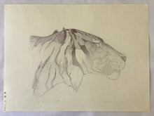 画像をギャラリービューアに読み込む, 【真作保証】吉田遠志　Tiger's head
