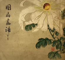 画像をギャラリービューアに読み込む, 団扇画譜　雪の巻　１０５枚
