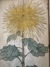 画像をギャラリービューアに読み込む, 　【真作保証】長谷川契華　契華百菊
