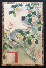 Load image into Gallery viewer, 【Genuine guarante】Kono Bairei　1883

