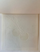 画像をギャラリービューアに読み込む, 【真作保証】白巻　persimmon(B)
