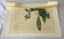 画像をギャラリービューアに読み込む, 【真作保証】歌麿　きりぎりすと蝉
