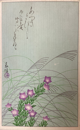 新着順 – curve-arts