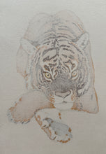 画像をギャラリービューアに読み込む, 【真作保証】吉田遠志　Tiger
