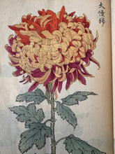 画像をギャラリービューアに読み込む, 　【真作保証】長谷川契華　契華百菊
