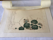 画像をギャラリービューアに読み込む, 【真作保証】歌麿　蚓とこうろぎ
