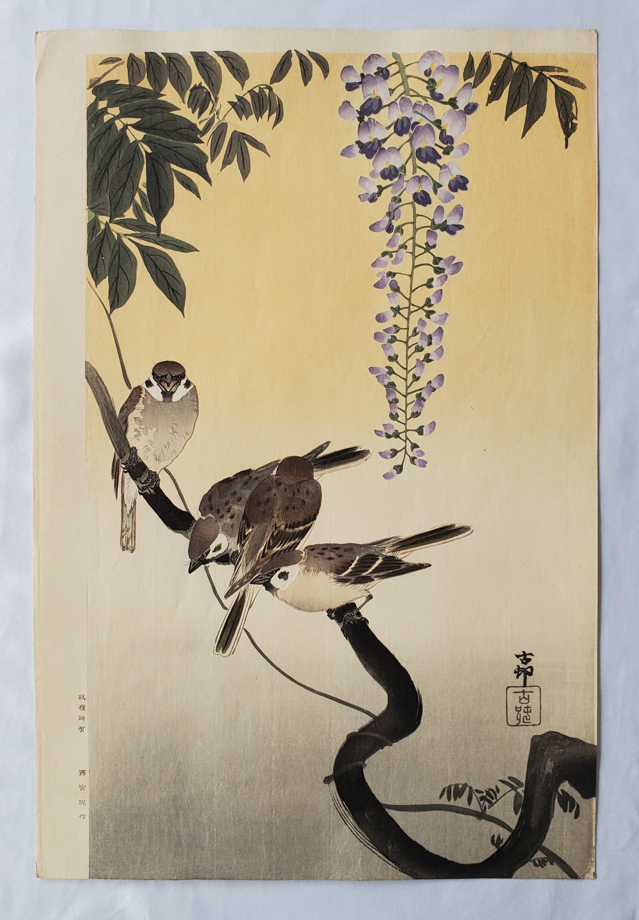 20240729_140731_resized_2048x.