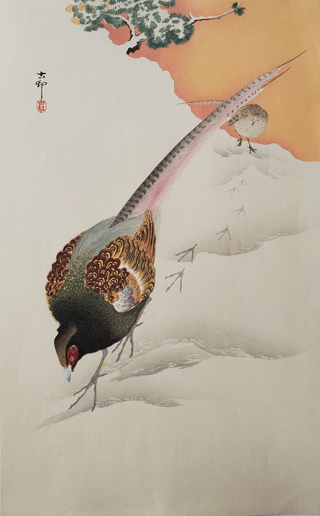 ありがとうございました【真作保証】小原古邨　雪中の雉　