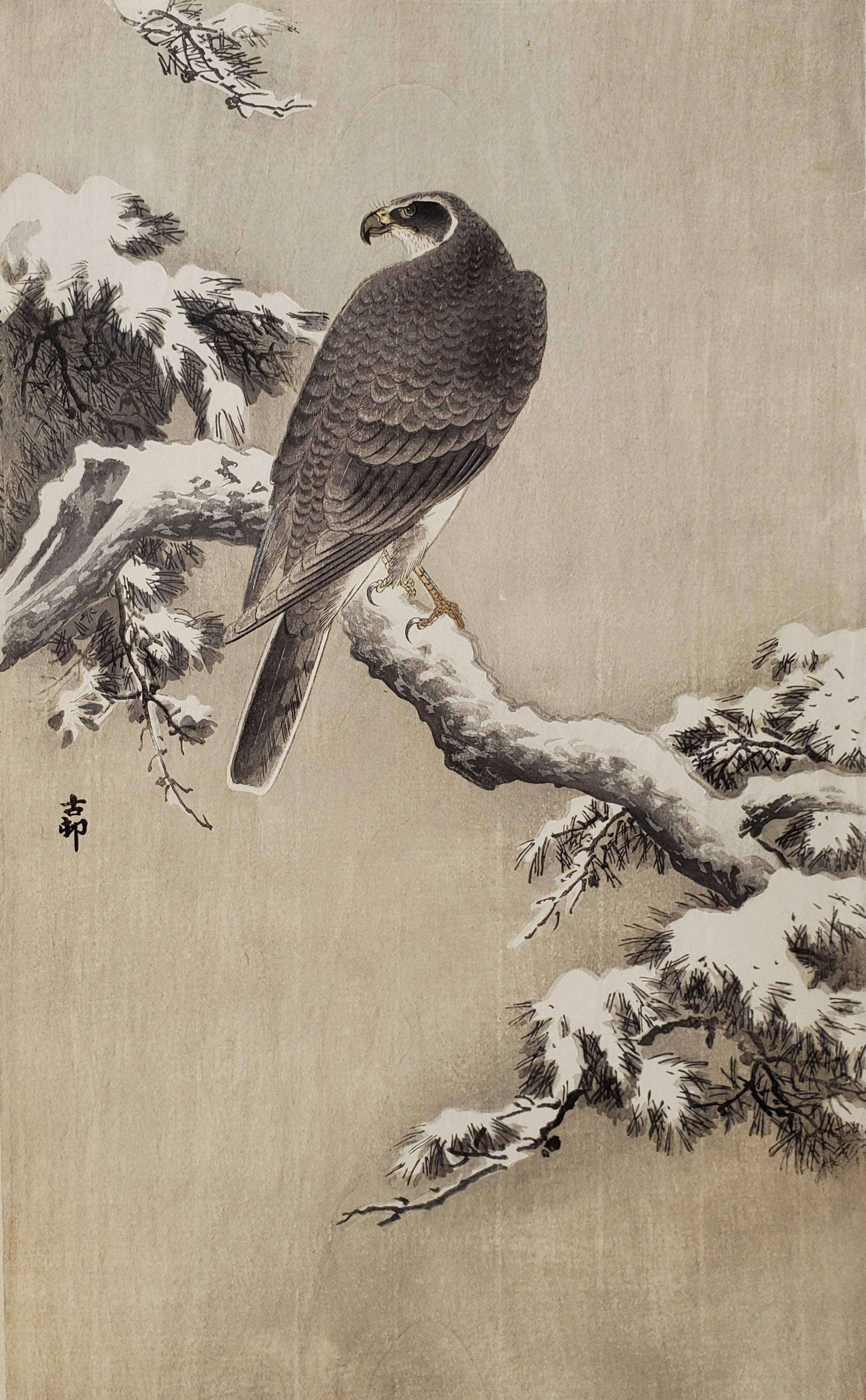 額、マット、画集付き少々難あり(見えない所)「藤に燕」真作
