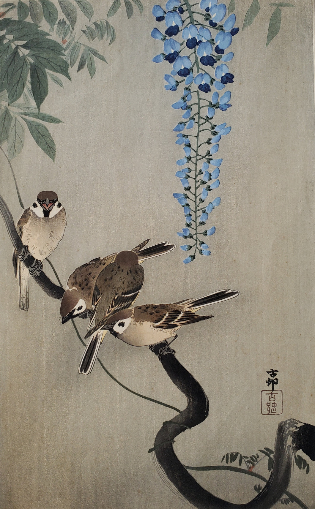 商談中【真作保証】小原古邨　藤に雀　