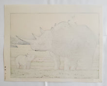 画像をギャラリービューアに読み込む, 【真作保証】吉田遠志　Rhinoceros

