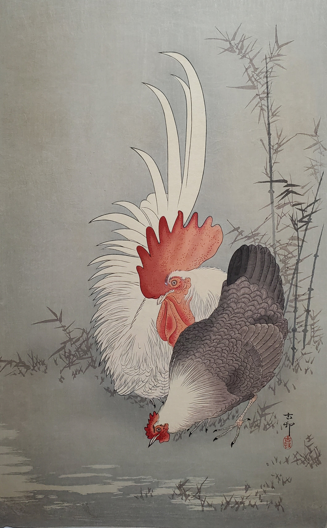 【真作保証】小原古邨　雄鶏と雌鶏