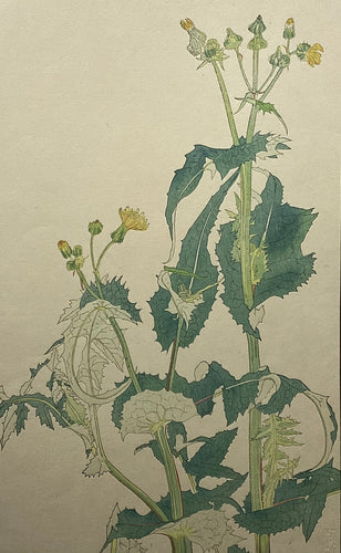 新着順 – curve-arts