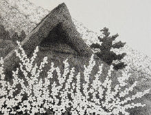 Load image into Gallery viewer, 【Genuine guarantee】Tanaka Ryohei, Toka
