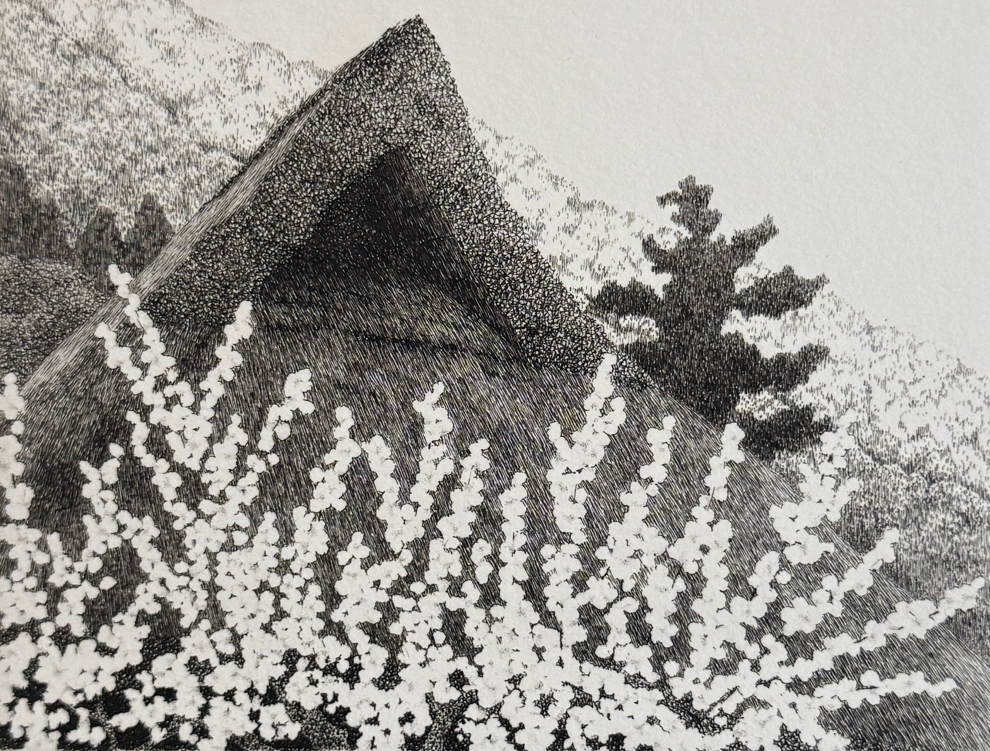 真作保証】田中良平 桃花 Tanaka Ryohei 147/200 1981 Japanese