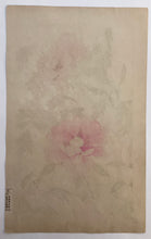 Load image into Gallery viewer, 【Genuine guarantee】Sugiura Hisui,　Ｂｏｔａｎ
