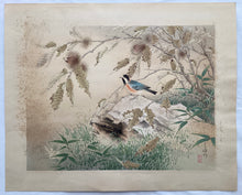 Load image into Gallery viewer, 【Geniune guarantee】Sakakibara Shiho
