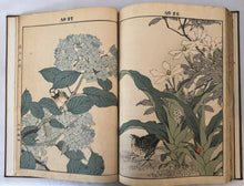 画像をギャラリービューアに読み込む, 【真作保証】今尾景年　景年花鳥画譜　春ノ部、夏ノ部
