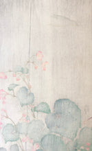 画像をギャラリービューアに読み込む, 【真作保証】小原古邨　雨中の秋海棠に鳥影
