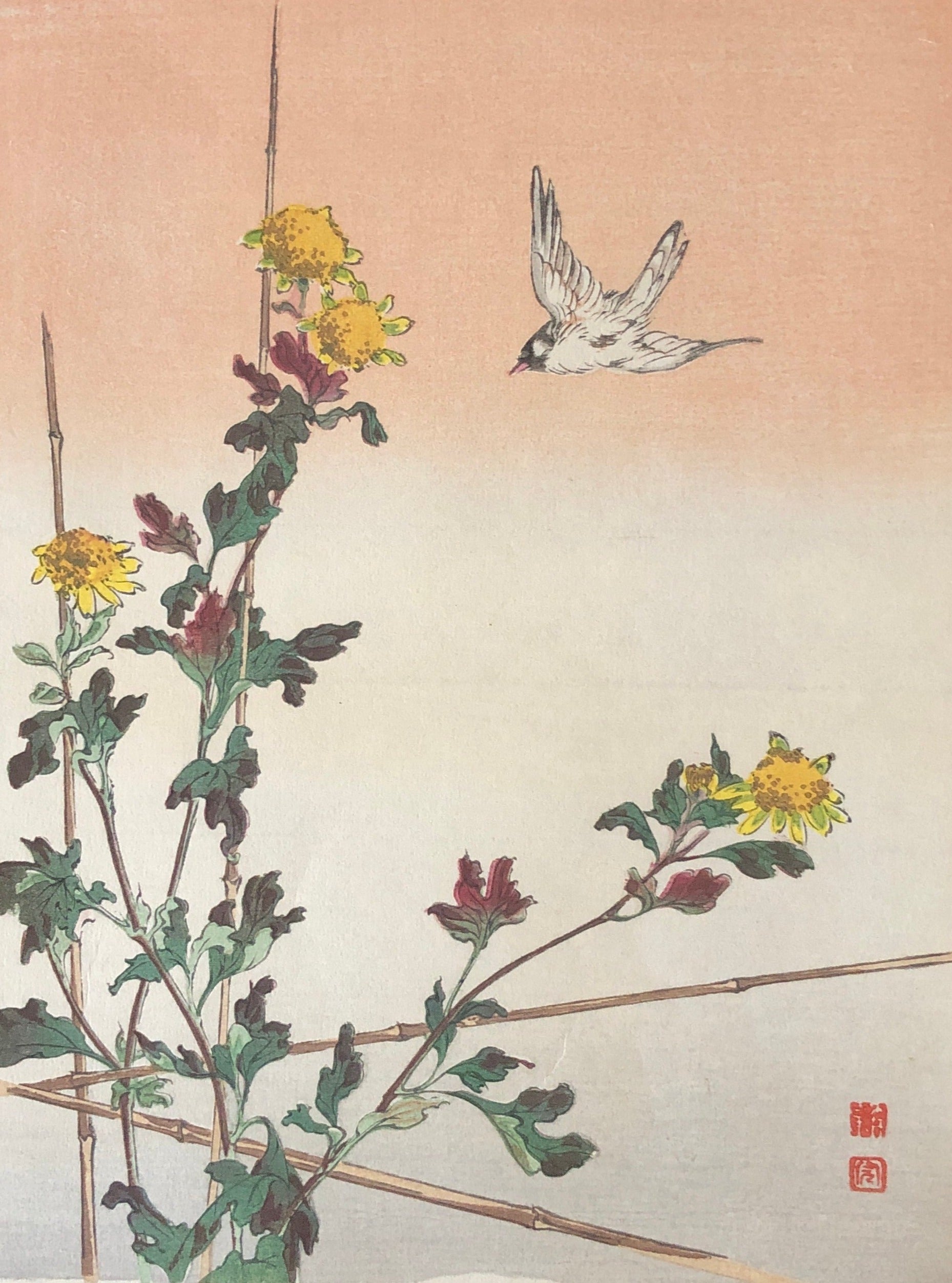 楽天市場】額絵 日本画 花鳥画 秋飾り 【紅葉】 西尾香悦 G4