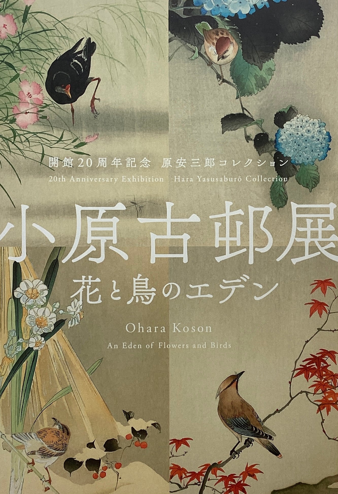 小原古邨「水辺につがいの真鴨」木版画 小原古邨「水辺につがいの真鴨」木版画 - メルカリ