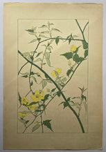 画像をギャラリービューアに読み込む, 【真作保証】杉浦非水　非水百花譜より　やまぶき
