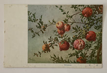 画像をギャラリービューアに読み込む, ラグーザお玉夫人絵画展覧会　絵葉書
