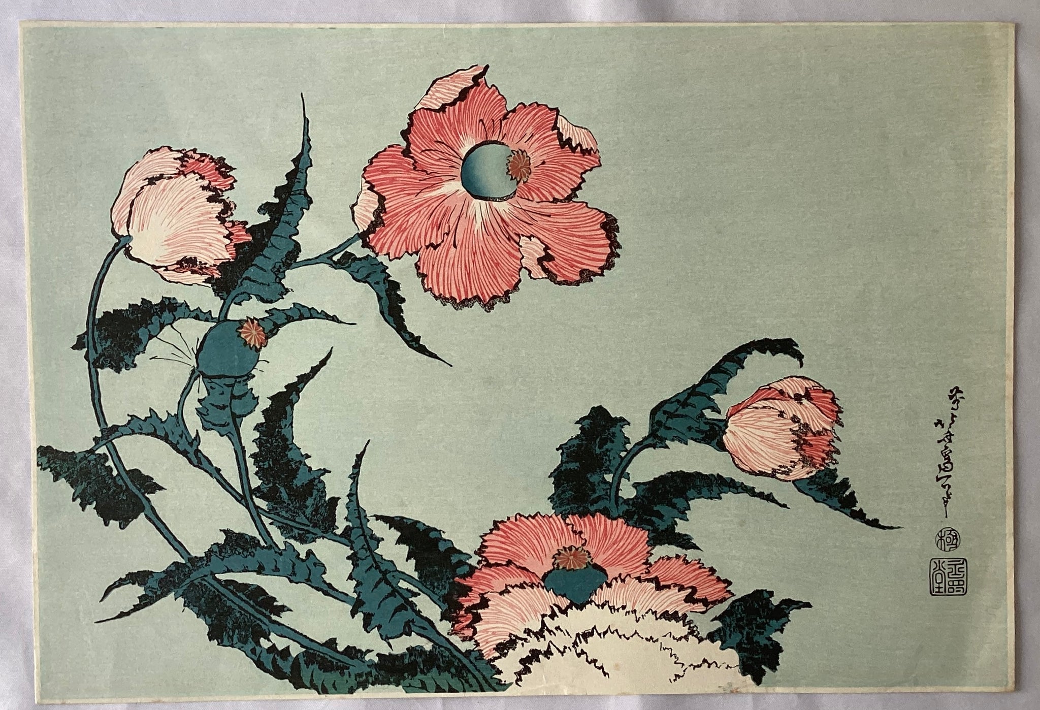 葛飾北斎 けし 復刻版 Katsushika Hokusai Japanese woodcut print