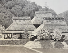 Load image into Gallery viewer, 【Genuine guarantee】Tanaka Ryohei, Warayane mittsu #2
