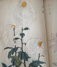 画像をギャラリービューアに読み込む, 　【真作保証】長谷川契華　契華百菊
