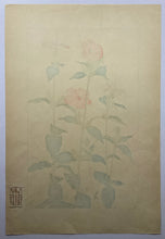 画像をギャラリービューアに読み込む, 【真作保証】杉浦非水　非水百花譜より　かんぴせんをう
