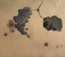 Load image into Gallery viewer, 【真作保証】渡辺省亭　ねずみ　ぶどう　
