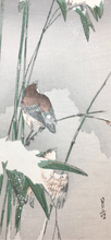 Load image into Gallery viewer, 【Guaranteed genuine】 YOSHIMOTO GESSO

