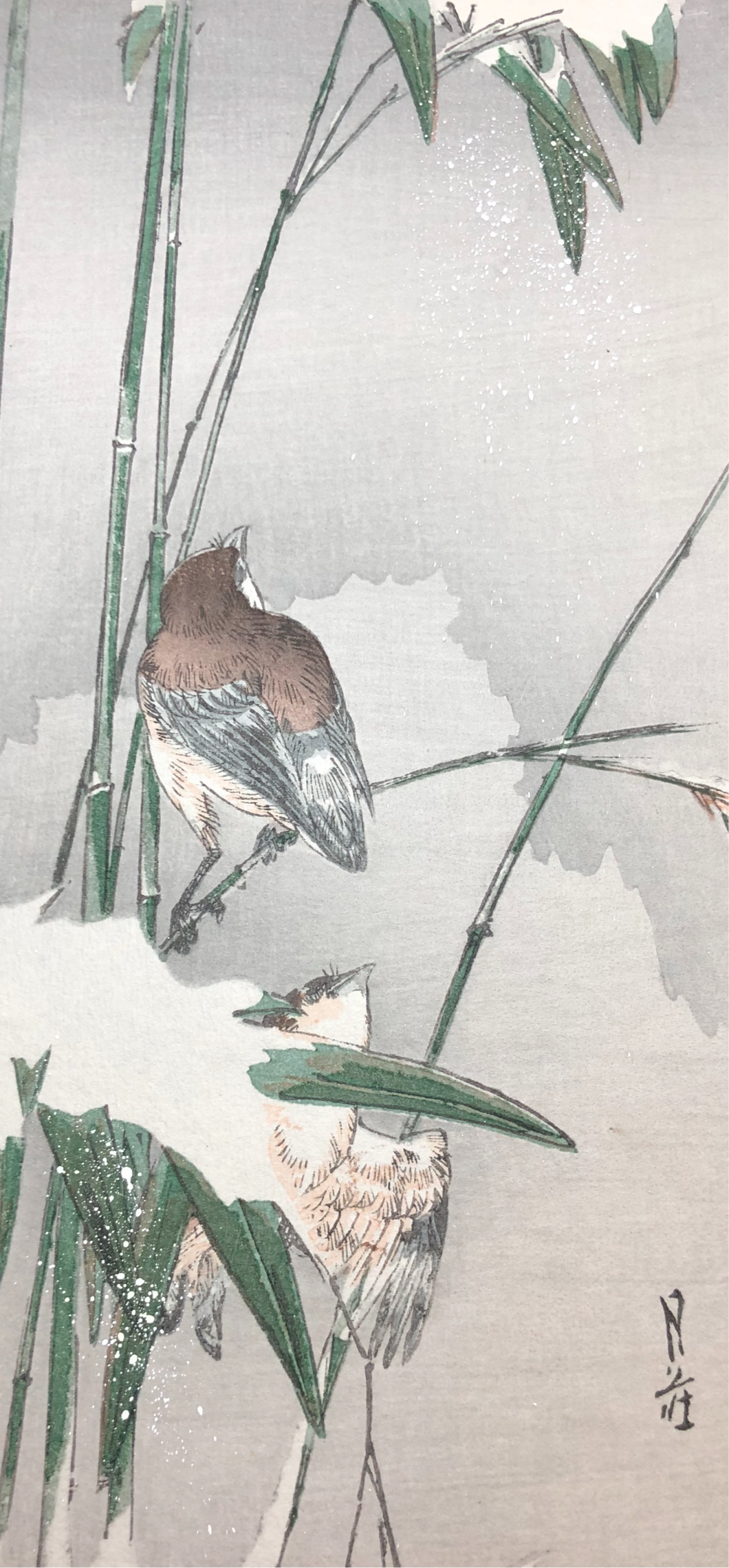 【Guaranteed genuine】 YOSHIMOTO GESSO