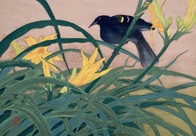 Load image into Gallery viewer, Reserve【Genuine guarante】Tsuchiya Rakuzan, 
