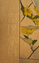 画像をギャラリービューアに読み込む, 【真作保証】杉浦非水　非水百花譜より　やまぶき
