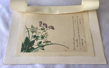 画像をギャラリービューアに読み込む, 【真作保証】歌麿　馬追虫とむかで
