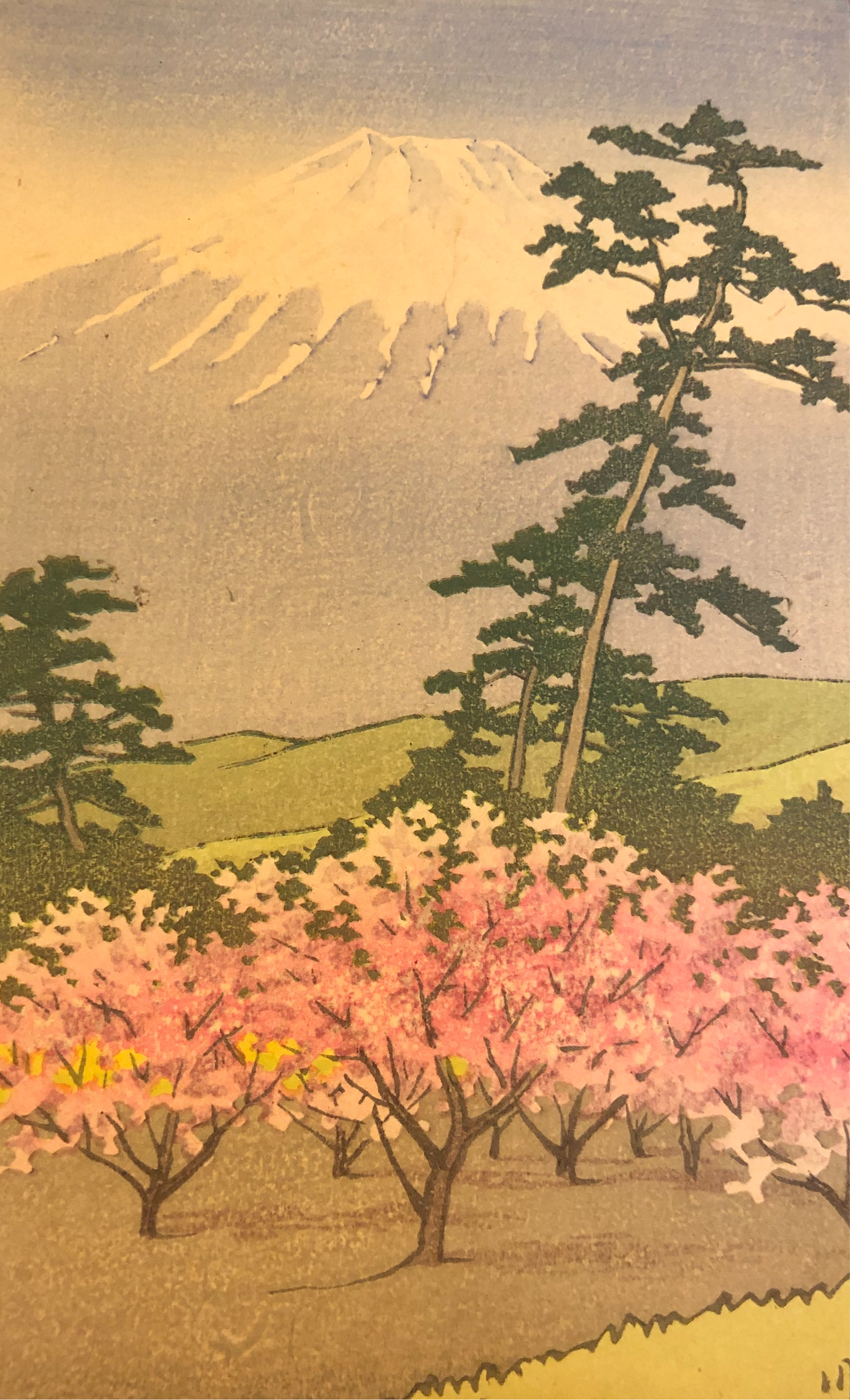 【真作保証】川瀬巴水　鈴川　小判