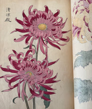 画像をギャラリービューアに読み込む, 　【真作保証】長谷川契華　契華百菊
