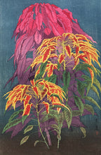 Load image into Gallery viewer, 【Genuine guarantee】Inuzuka Taisui, Hageitou
