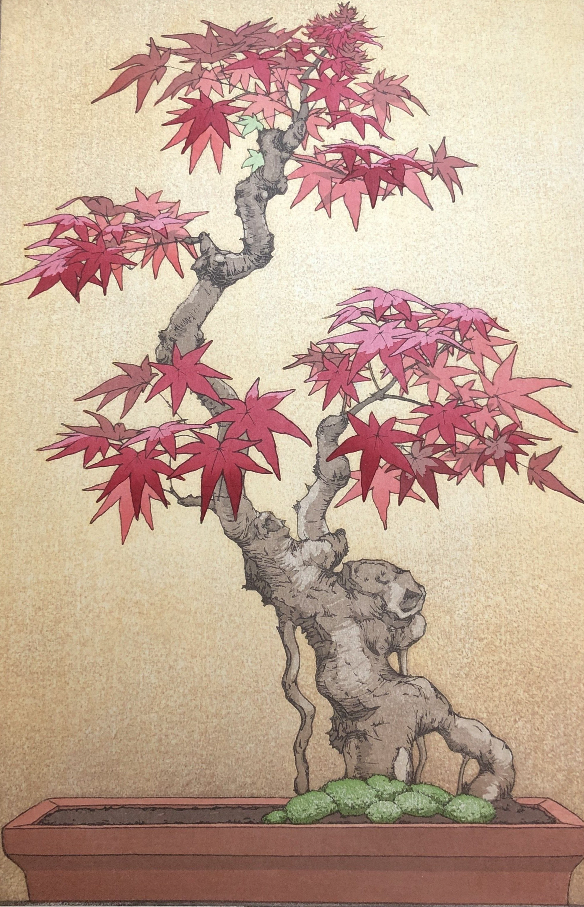 本物！吉田司 風と猫 木版画 吉田司 – curve-arts