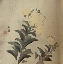 画像をギャラリービューアに読み込む, 団扇絵　画撰　一巻　５５枚
