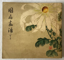 画像をギャラリービューアに読み込む, 団扇画譜　雪の巻　１０５枚
