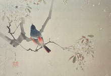 画像をギャラリービューアに読み込む, 渡辺省亭　肉筆（桜）
