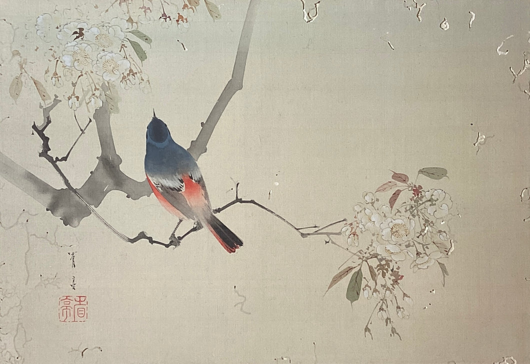 渡辺省亭　肉筆（桜）